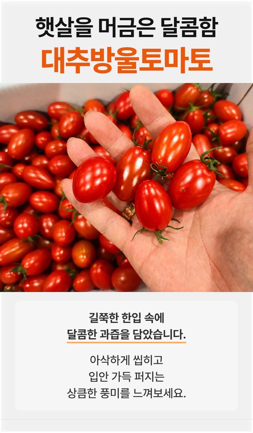 예시 · 대추방울토마토 대표컷