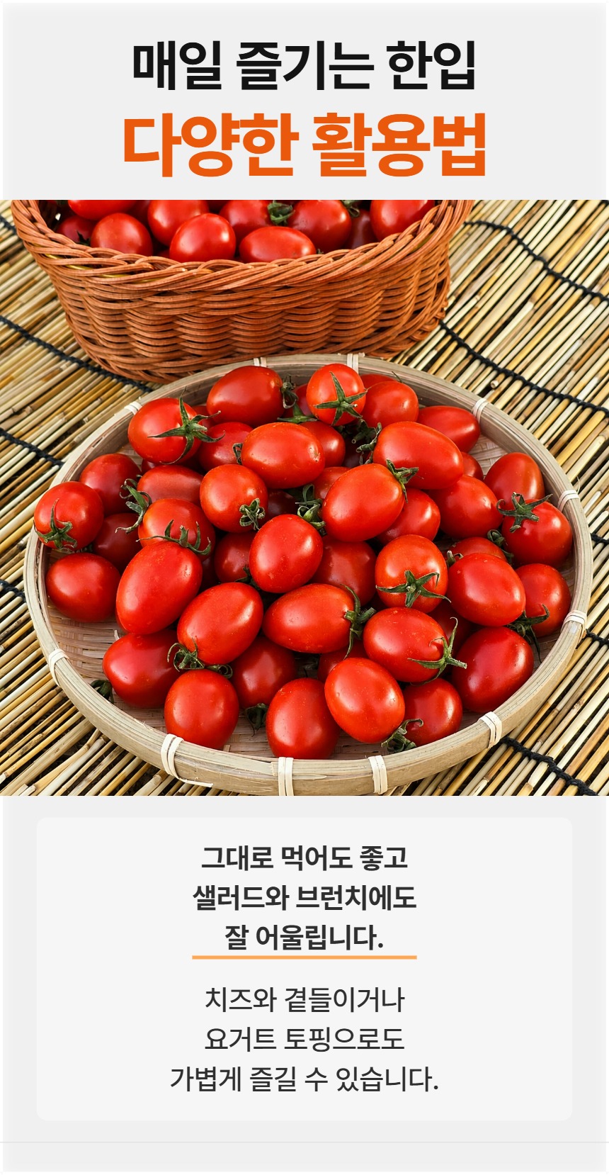 예시 · 다양한 활용법